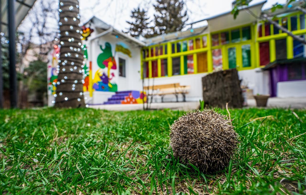 Zgarbi Hostel Tbiliszi Kültér fotó